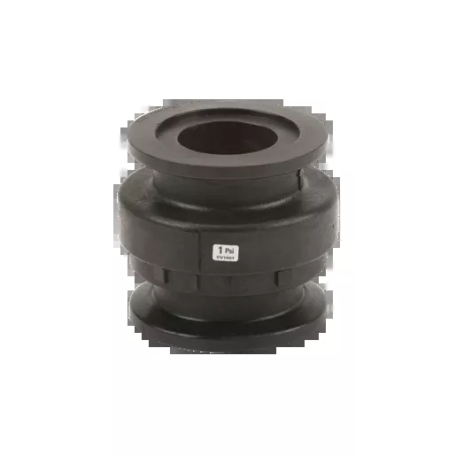 2" Flanged Poly Check Valve