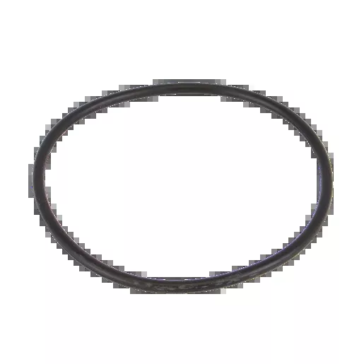3" Manifold Line Strainer End Cap Gasket EPDM