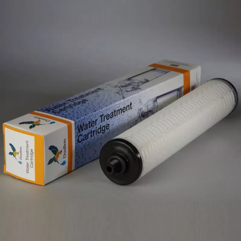 Doulton W9240002 Specialty Replacement Filter Cartridge