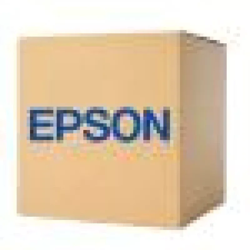 Epson 1655676