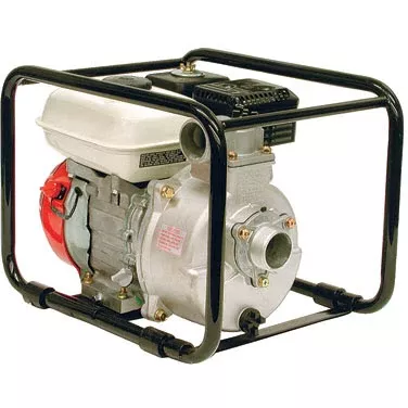Hypro 1573-SPX Transfer Pump