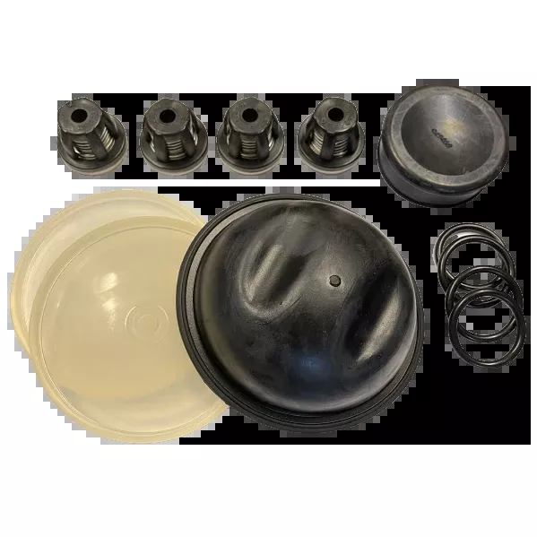 Hypro D50 Diaphragm & Valve Kit