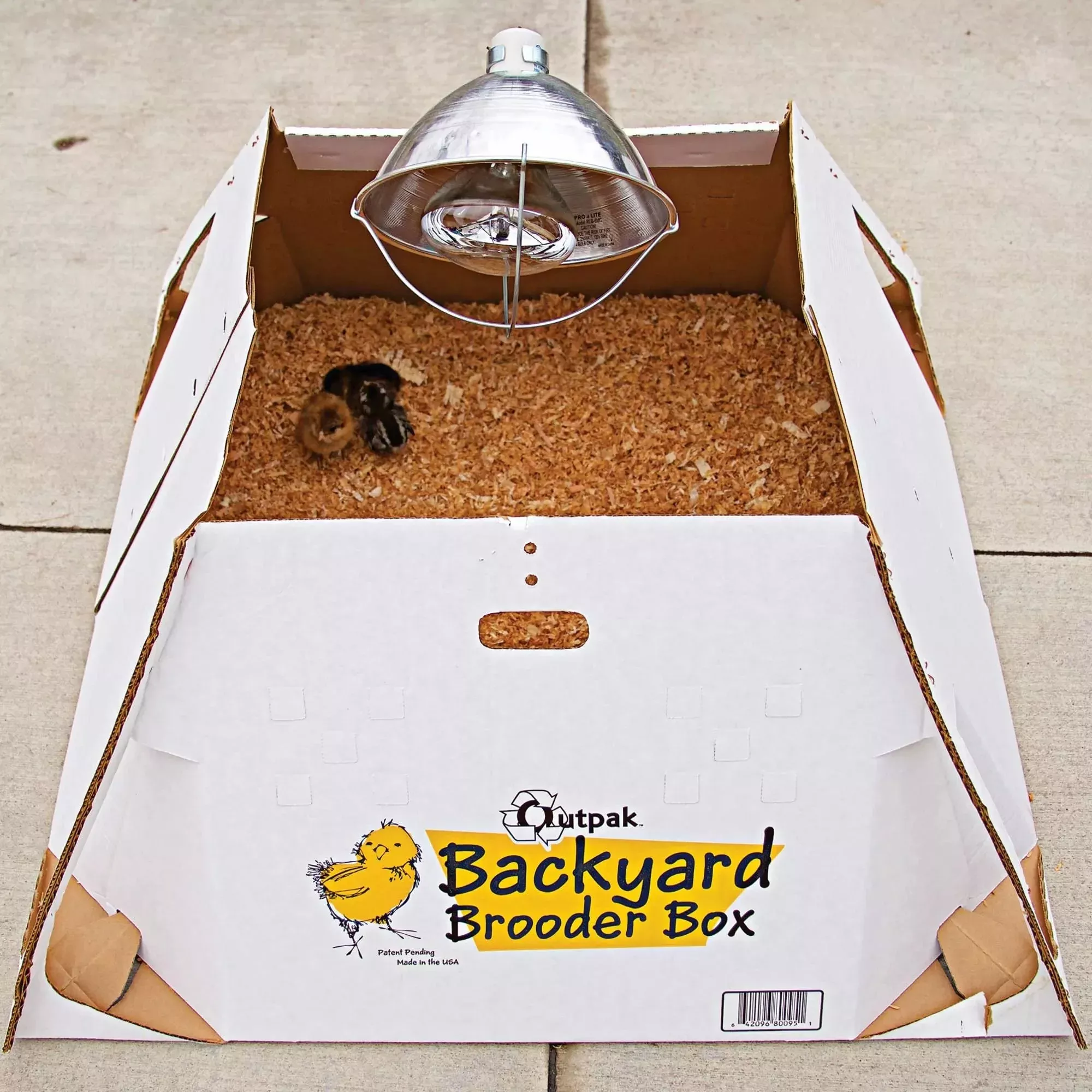 Outpak Backyard Brooder Box - Holds 24 Chicks