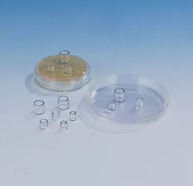 Sterile Cloning Cylinders, Assorted Sizes, pack/40